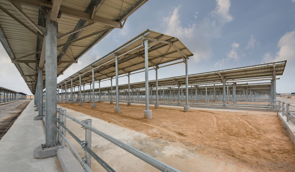 Animal Production Shed - Industrial Buildings